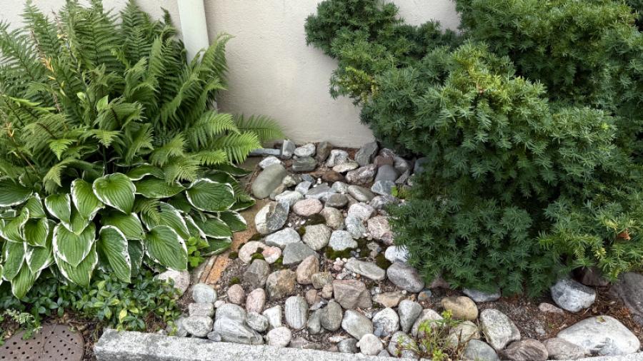 Gott om rabatter och buskar.